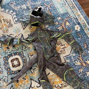 Dinosaur costume, maybe lizard lol